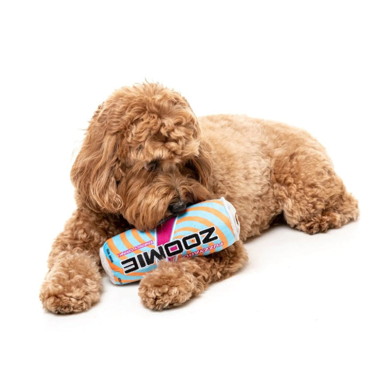 Zoomie Energy Plush Dog Toy