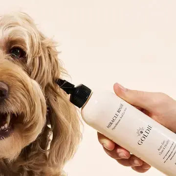 K9 Outdoors Miracle Rinse for Dogs and Cats being applied to a happy dog with curly fur