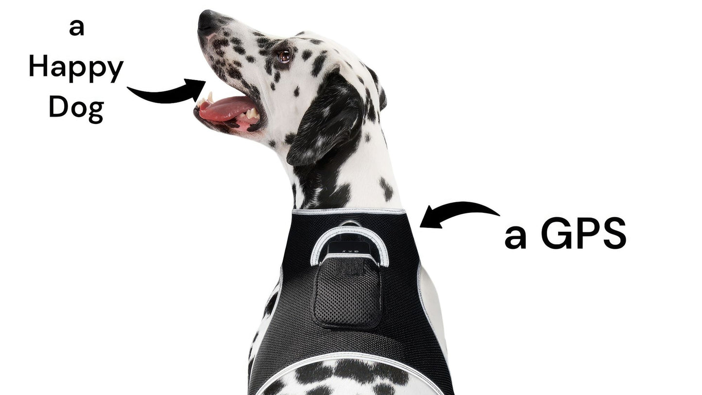 Purrfect Pet Kingdom GPS Dog Collar Tracker Harness Purrfect Pet Kingdom