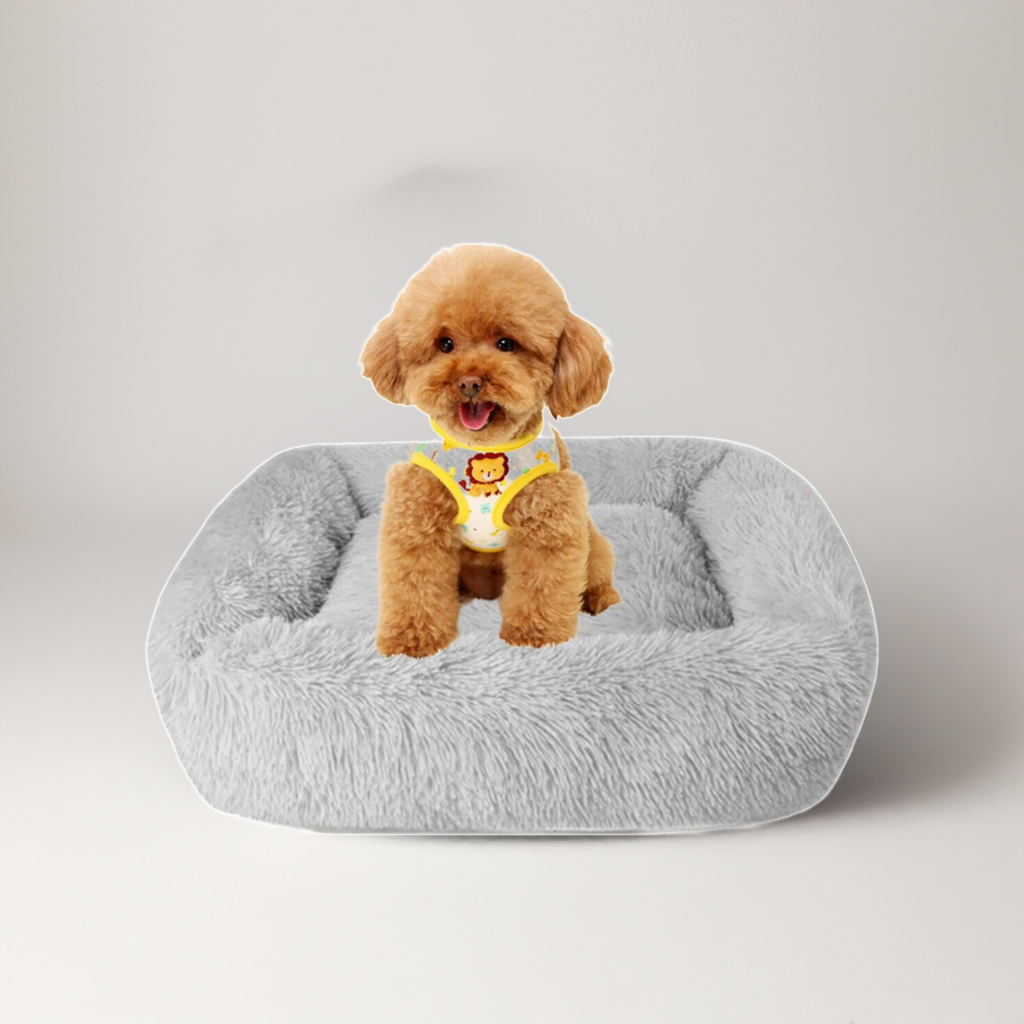 Washable Dog Bed Gray Plush Soft Cats Dogs ๐๏ธ