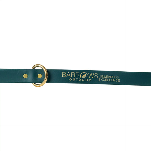 Barrows Dog Leash - Green | Purrfect Pet Kingdom