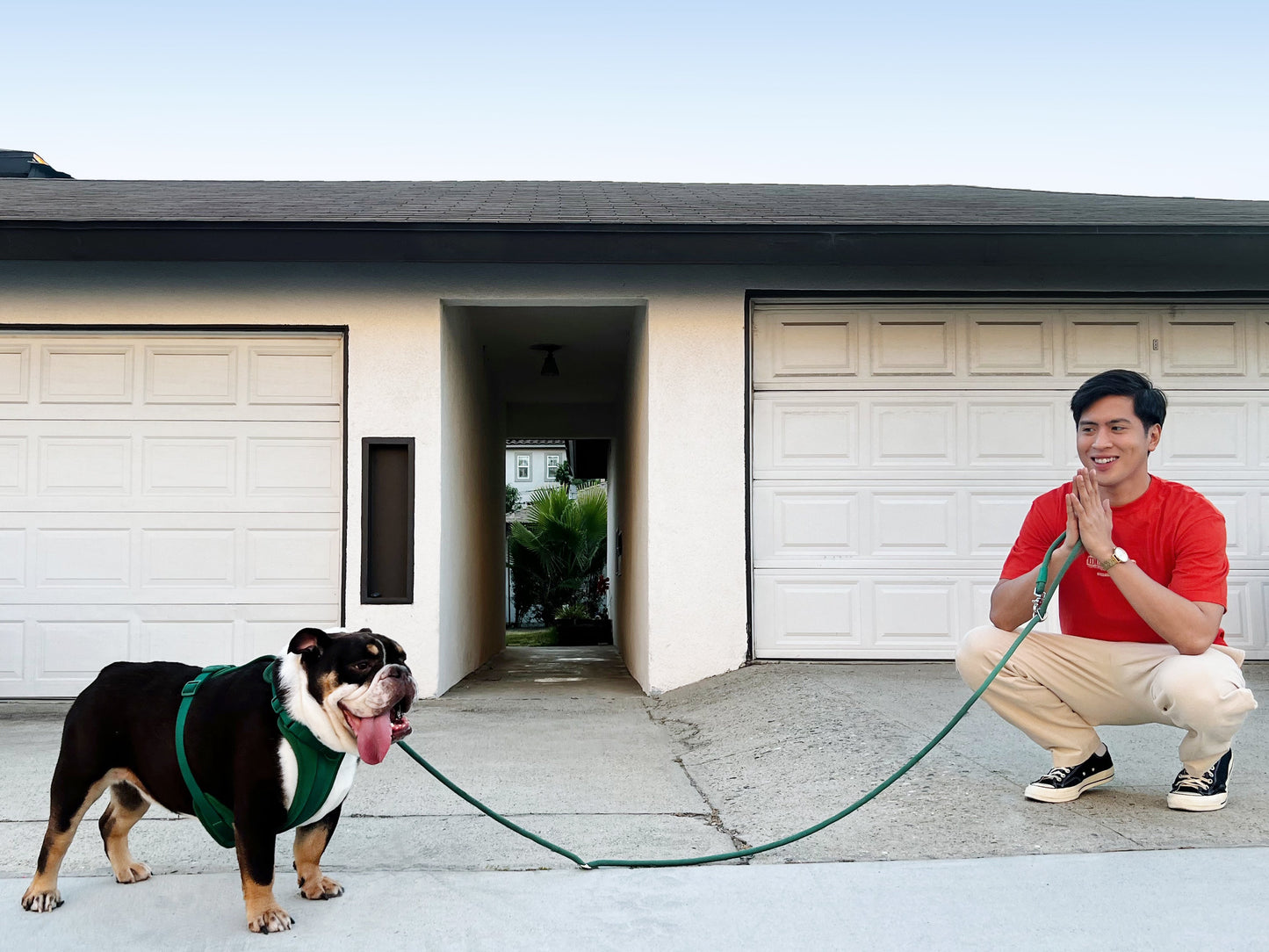 Kismet Dog Leash - Pet Leashes - Come Here Buddy