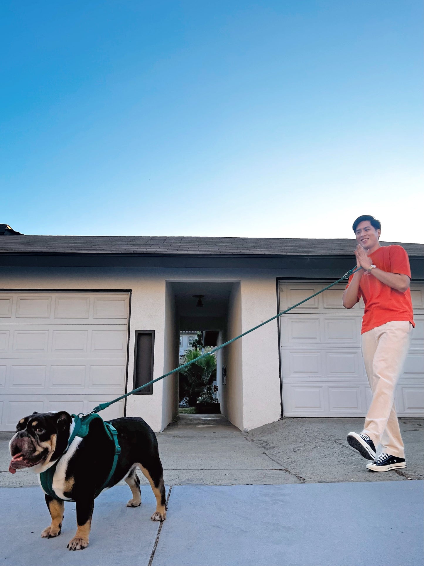 Kismet Dog Leash - Pet Leashes - Come Here Buddy
