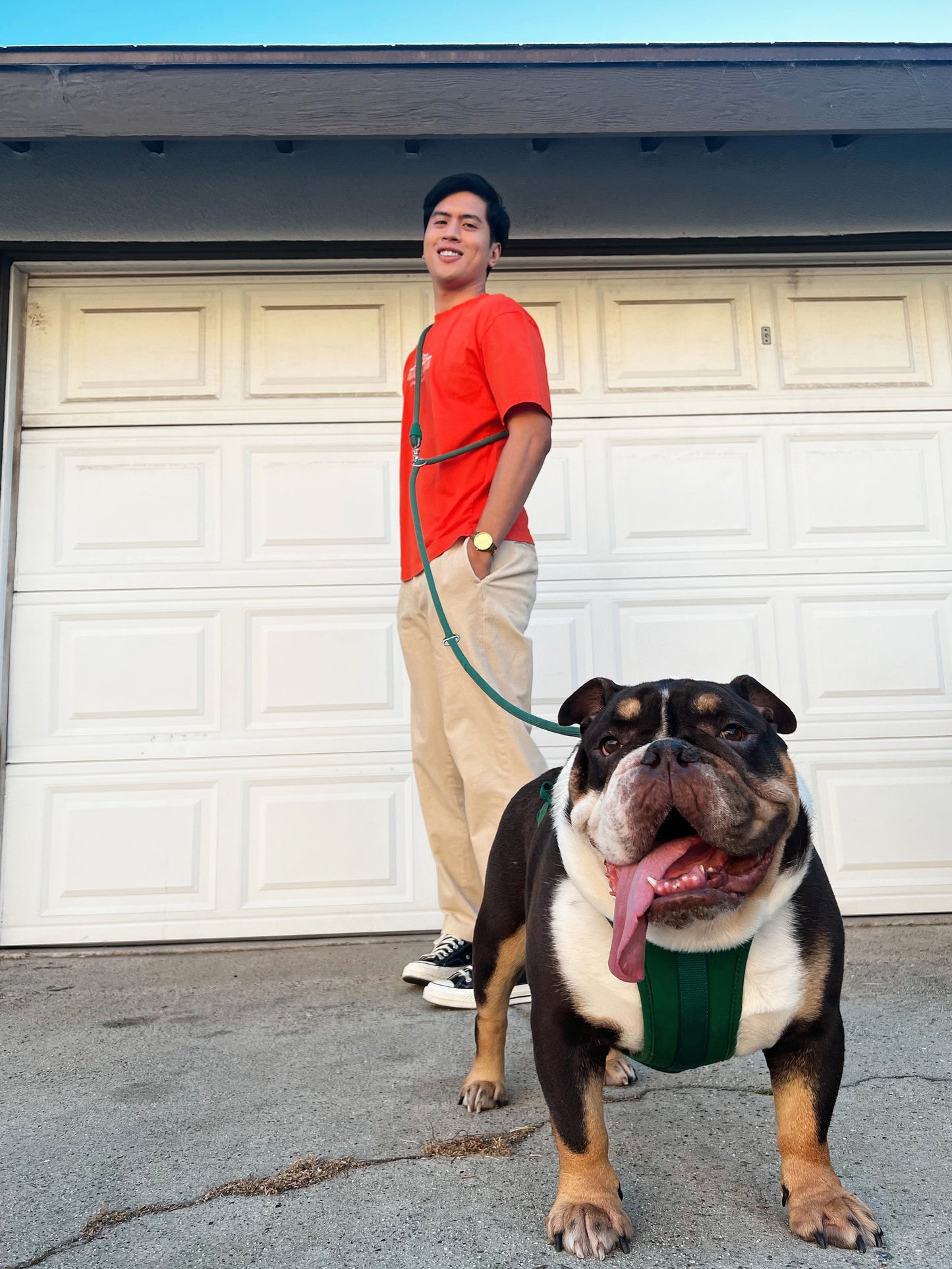 Kismet Dog Leash - Pet Leashes - Come Here Buddy