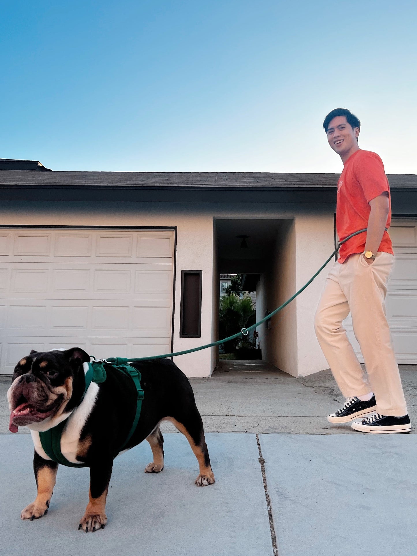 Kismet Hands-Free Multi-Functional Dog Leash for Active Walks