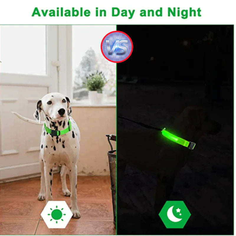 Royal Luminous Safety Pet Collar Adjustable LED Night Visibility ๐ก๐