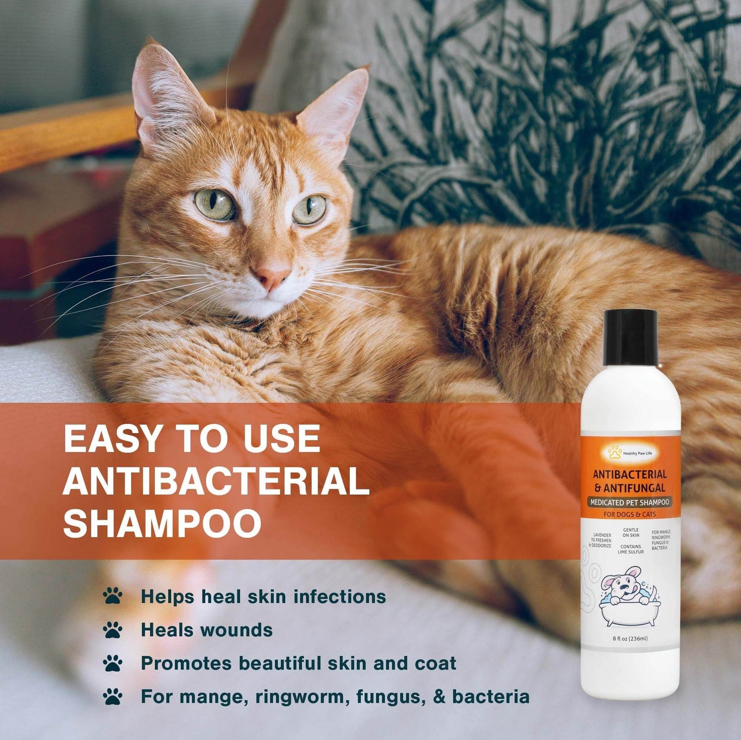 Purrfect Pet Kingdom lime sulfur pet shampoo bottle next to a relaxed orange tabby cat on a couch