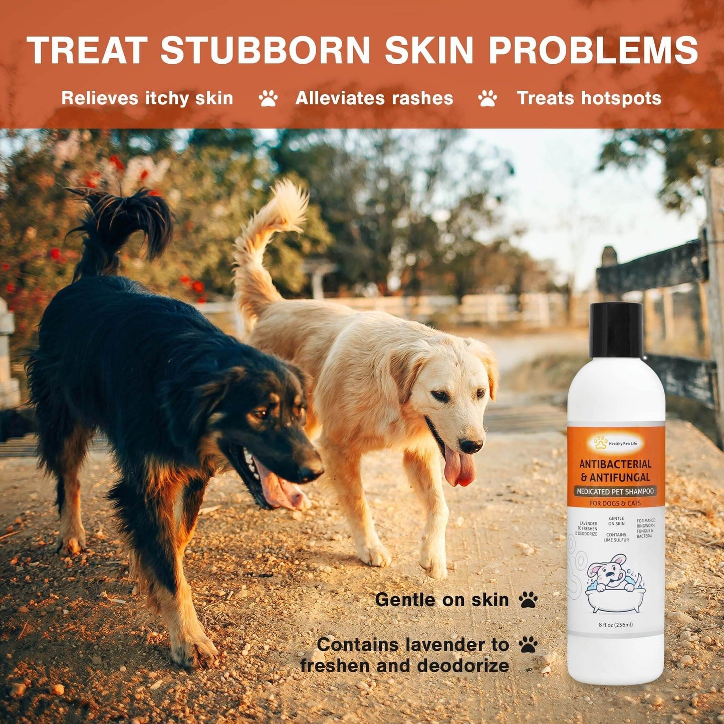 Purrfect Pet Kingdom lime sulfur pet shampoo bottle next to two dogs outdoors, treats itchy skin and rashes