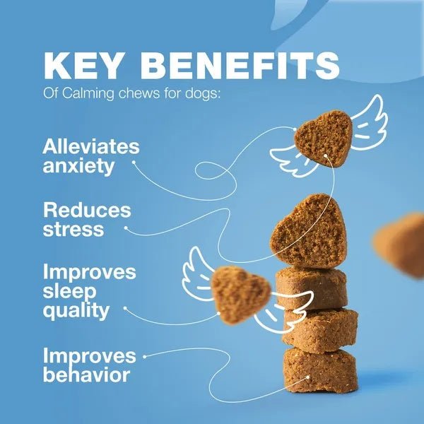 Hemp Calming Chews For Dogs Dog Calming Treats Anxiety Relief For Dogs - Purrfect Pet Kingdom