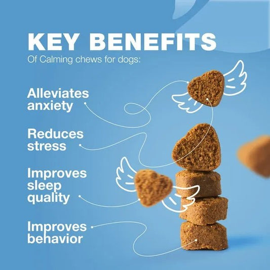 Hemp Calming Chews For Dogs Dog Calming Treats Anxiety Relief For Dogs - Purrfect Pet Kingdom