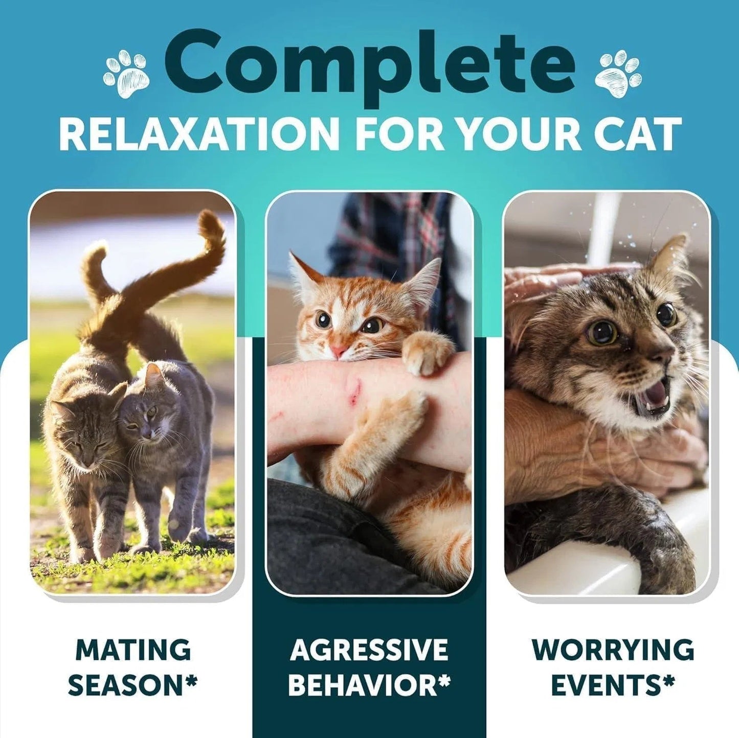 Hemp Cat Calming Treats For Stress & Anxiety Relief Cat Kittens Melatonin - Purrfect Pet Kingdom