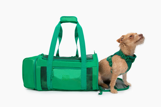 Come Here Buddy Airline-Approved Pet Travel Backpack Carrier
