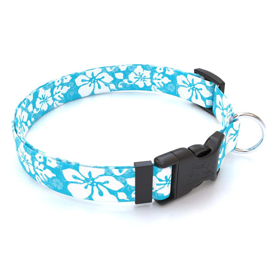 Hot Dog Collars - Personalized Island Floral Blue Dog Collar - cpb_hybrid