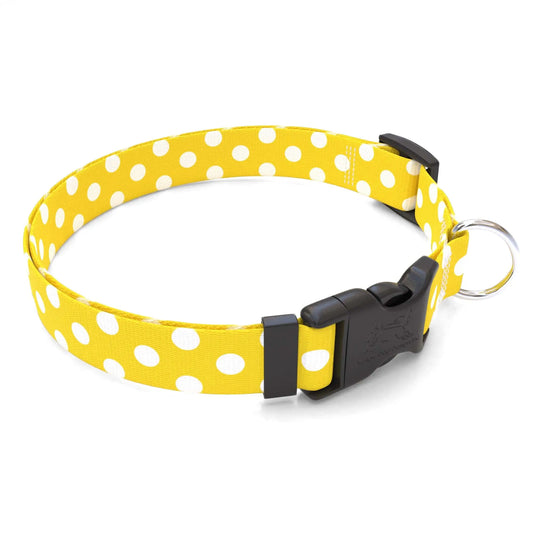 Hot Dog Collars - Personalized Lemon Polka Dot Dog Collar - cpb_hybrid