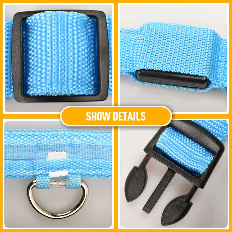 Royal Luminous Safety Pet Collar Adjustable LED Night Visibility ๐ก๐