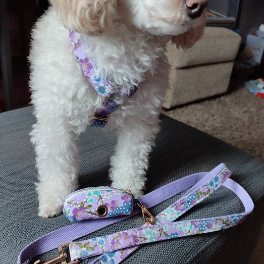 White dog in Purrfect Pet Kingdom's lilac floral harness, matching leash and waste bag pouch with gold hardware.