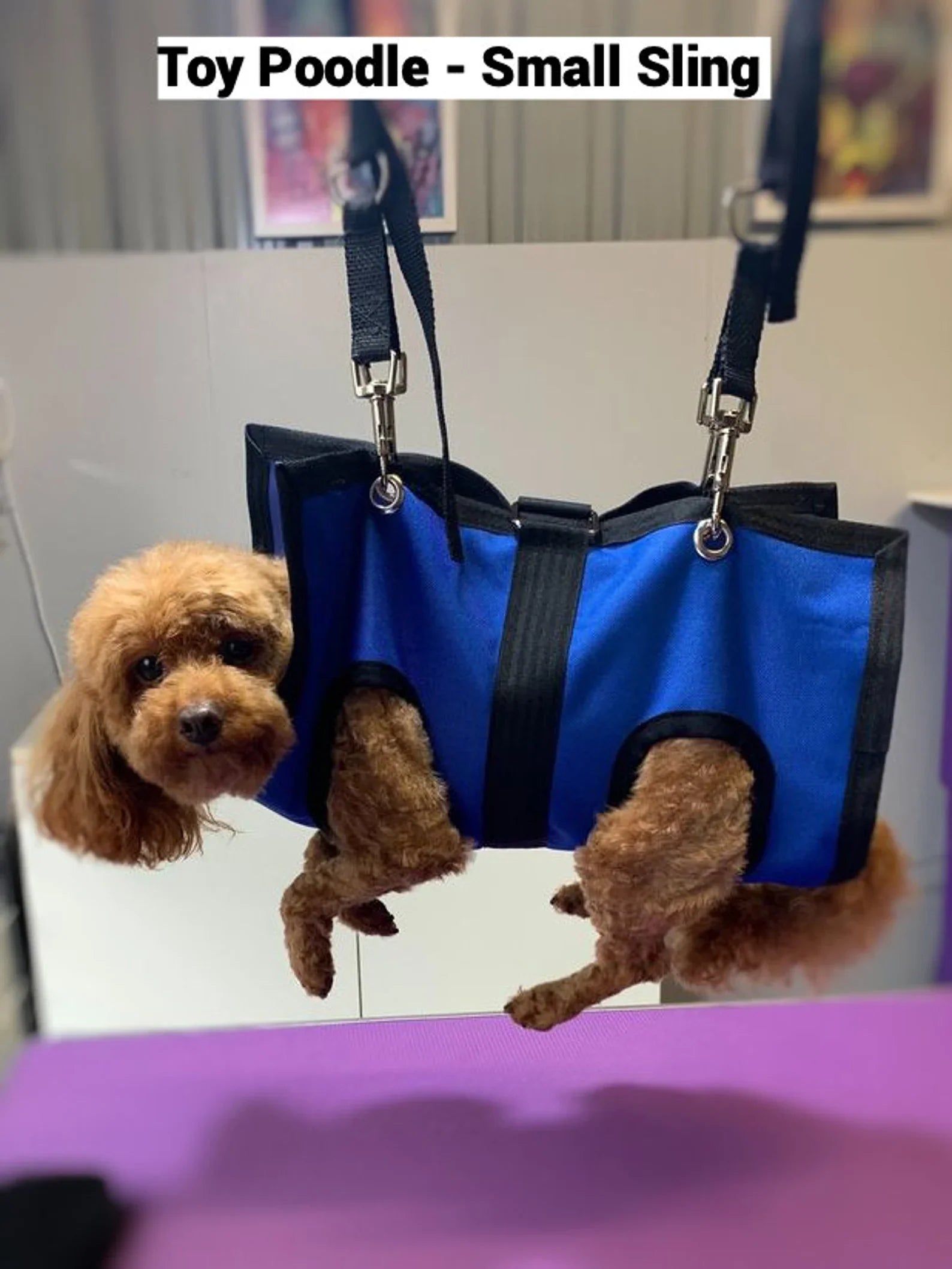 PET GROOMING SLING - Pet Grooming - ReNewedPet