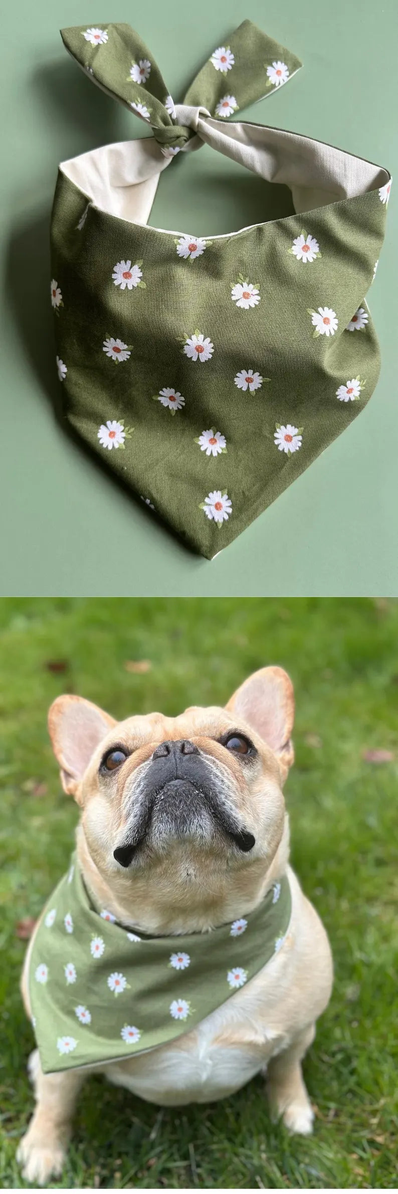 Daisy Dog Bandana - Purrfect Pet Kingdom