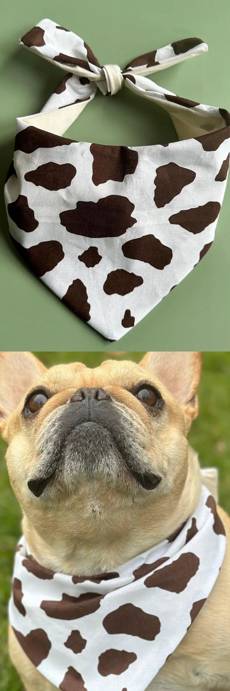 Cow Print Dog Bandana - Purrfect Pet Kingdom