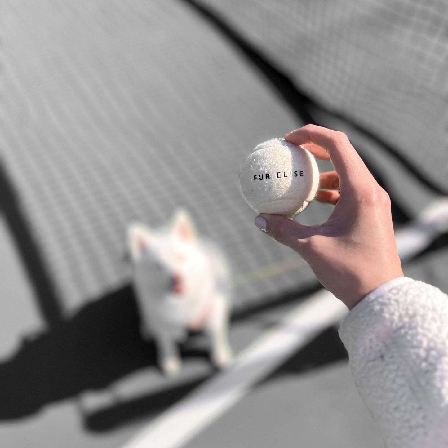 Classic Tennis Ball - Bone - Tennis Ball - Elise Galleria