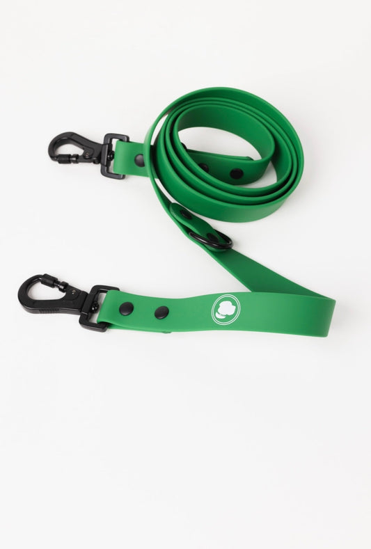 Dog Leash Clover Green Durable Webbing