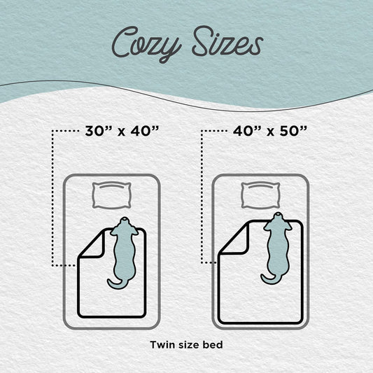 Best Friends by Sheri Blanket Shag Frost 30x40 - Dog Blanket - The Family Pet