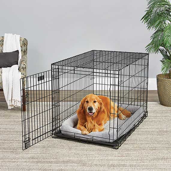 42in Midwest Diamond Stitch Bed Gray - lifestyle view | Dog Beds at Purrfect Pet Kingdom