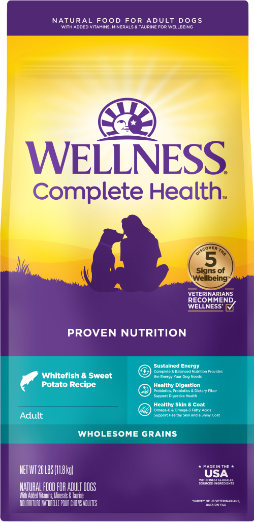 Wellness Complete Health Adult Whitefish and Sweet Potato Dog Food - Wellness Dry Dog Food - The Family Pet