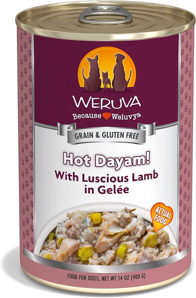 Weruva Hot Dayam! Wet Dog Food (14oz) - Weruva Wet Dog Food - The Family Pet