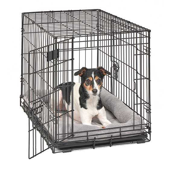 30in Midwest Diamond Stitch Bed Gray - lifestyle view | Dog Beds at Purrfect Pet Kingdom