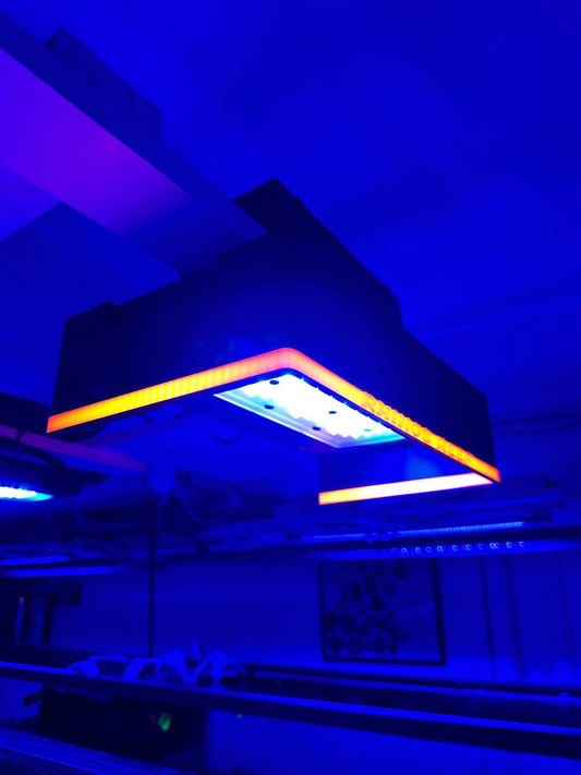 XR30 Halo Shade - Aquarium LED Light Cover