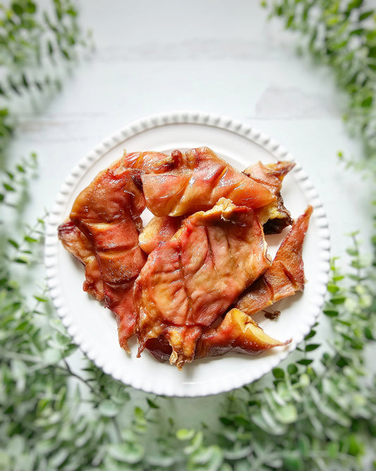 Pig Snout | Purrfect Pet Kingdom