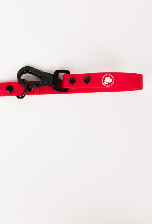 Dog Leash Ruby Red Adjustable 60in 3 Lengths Dual