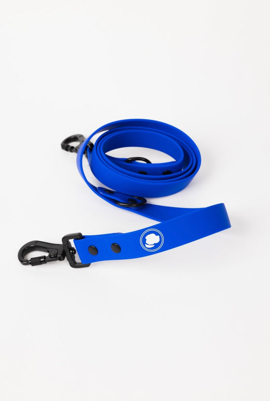 The Modern Dog Company - Royal Blue Leash (Weather + Odor