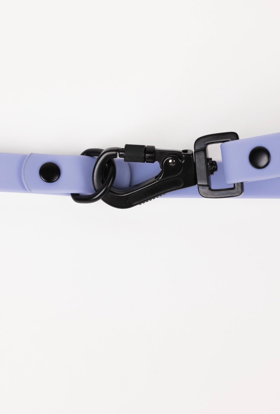 Dog Leash Accessory Lavender Purple Everyday Accessory Essen - size and texture image for dog leash