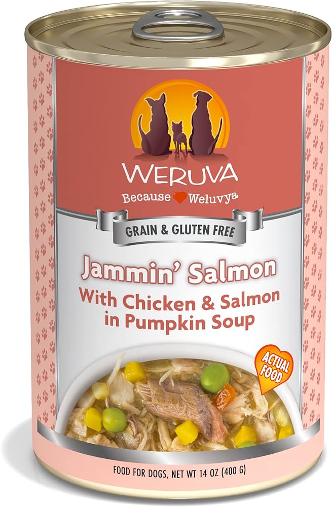 Weruva Jammin' Salmon Wet Dog Food (14oz) - Wet Dog Food - The Family Pet
