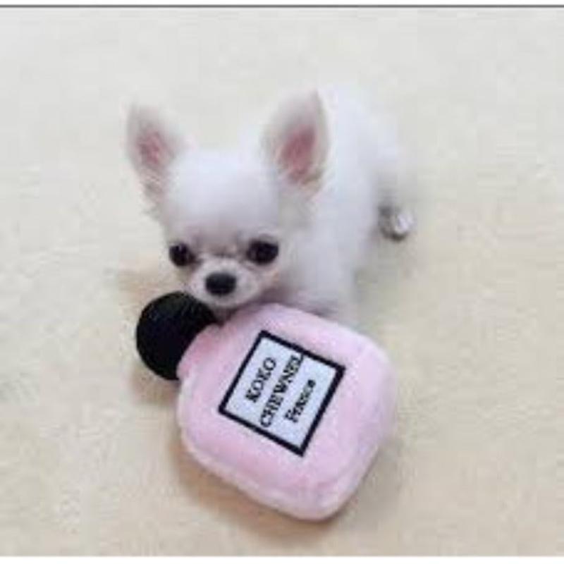 Koko Chewnel Parfum Plush Squeak Dog Toy