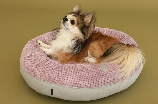 Chester & Lee Light Pink Orthopedic Donut Calming Dog Bed XL