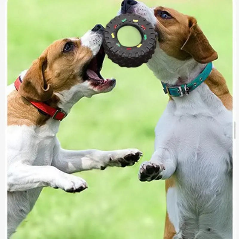 Two dogs playing with a tire-shaped interactive toy from Purrfect Pet Kingdom Interactive Toys for Dogs