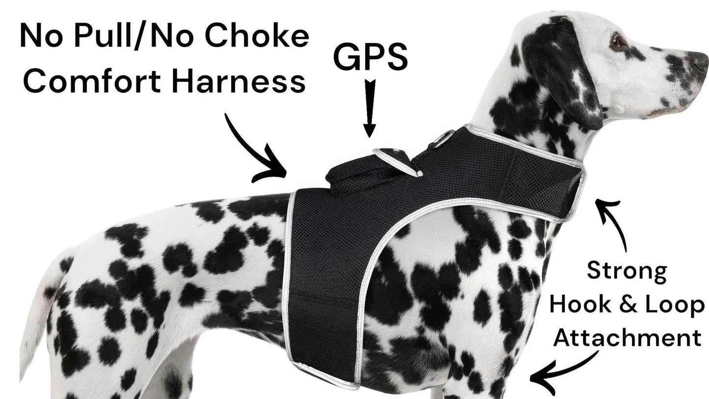 Purrfect Pet Kingdom Pet GPS Tracking Harness with iTrackPET Purrfect Pet Kingdom