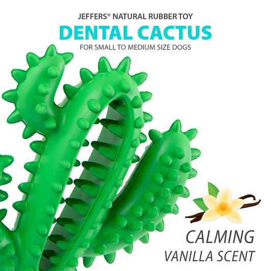 Jeffers Cactus Natural Rubber Dental Chew Toy for Dogs for