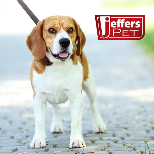 Jeffers Flat Leather Dog Leash with Hand Strap Handle, 6'L - detail view