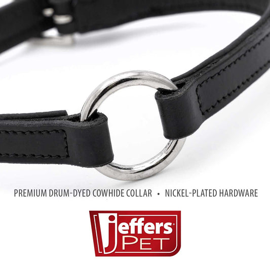 Jeffers Padded Black Leather Dog Collar with Nickel Hardware
