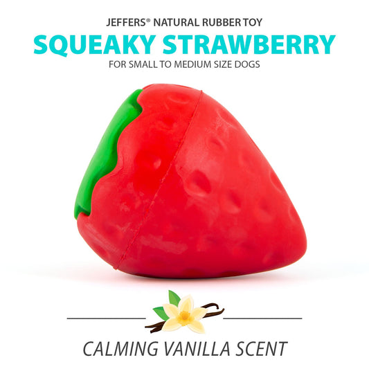 Jeffers Squeaky Vanilla Rubber Strawberry Dog Dental Toy