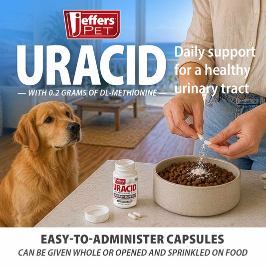 Uracid Dl Methionine 0 2G Capsules For Dogs Cats Pet - detail view