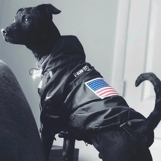 Winter Dog Face Jacket - Winter Pet Coat - Ameraeon