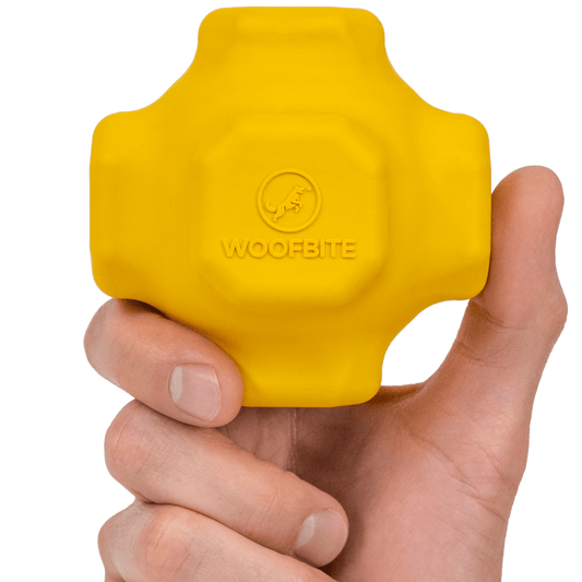 Monster K9 Jumping Jack Dog Toy 🦘