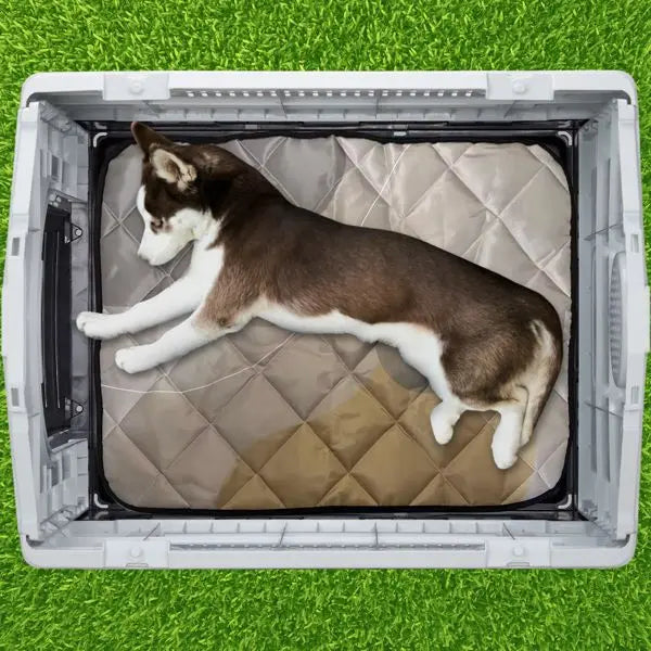Purrfect Pet Kingdom Large Plastic Dog House - Durable & Weatherproof Purrfect Pet Kingdom