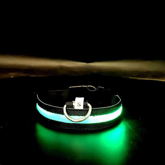 Purrfect Pet Kingdom LED glowing pet collar in black with a bright green light for nighttime safety