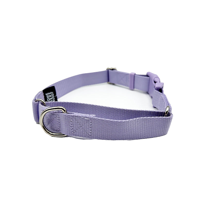 Martingale Dog Collar - Purrfect Pet Kingdom